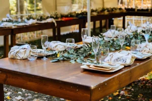 How Green Alternatives to Party Supplies Improve Sustainability for Your Events